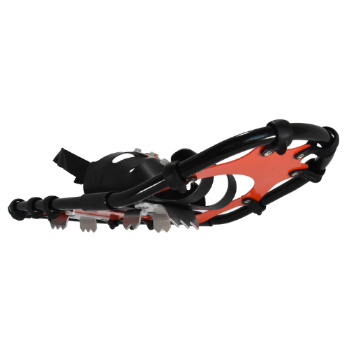 Race Wave (20) by Northern Lites Snowshoes Pices Cheap Pice