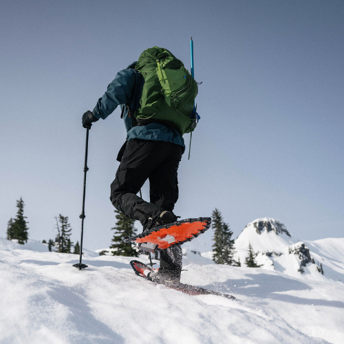 Backcountry (30) by Northern Lites Snowshoes Clearance Online