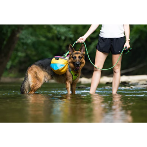 Adventure 2-Piece Dog Pack by Alpha Pak Discount How Much