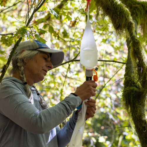 2L Vecto Water Container by CNOC Outdoors Affordable Cheap Pice