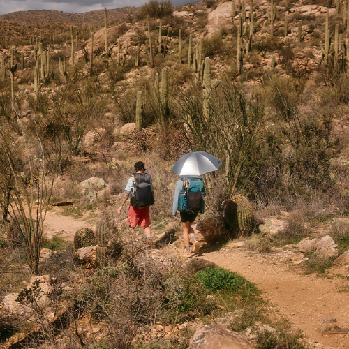 Lightrek Hiking Umbrella by Gossamer Gear Sale Real