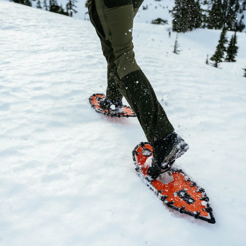 Race (20) by Northern Lites Snowshoes Top Quality Sale Online