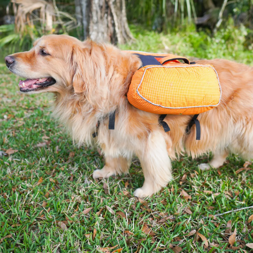 Ultralight Dog Backpack by Red Paw Packs Quality From China Wholesale