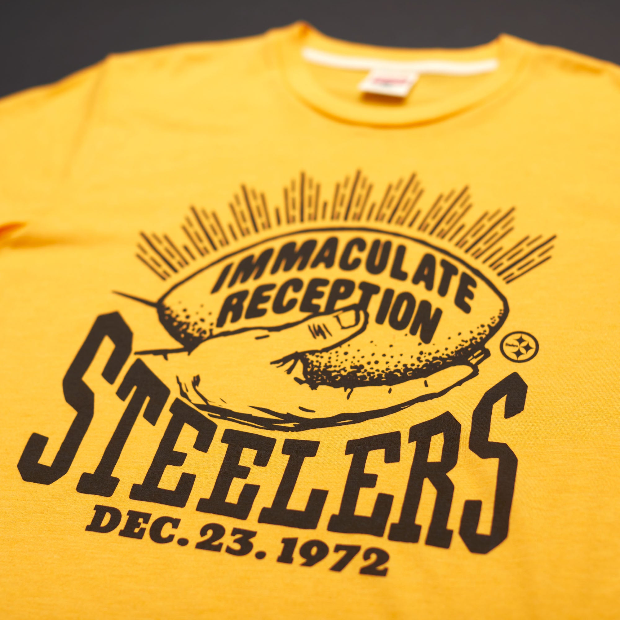 Pittsburgh Steelers Immaculate Reception Sale Discount